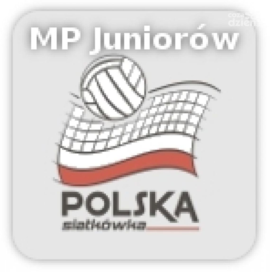 Norwid Częstochowa - Gwardia Wrocław (Relacja live) Norwid Częstochowa - Gwardia Wrocław (Relacja live)