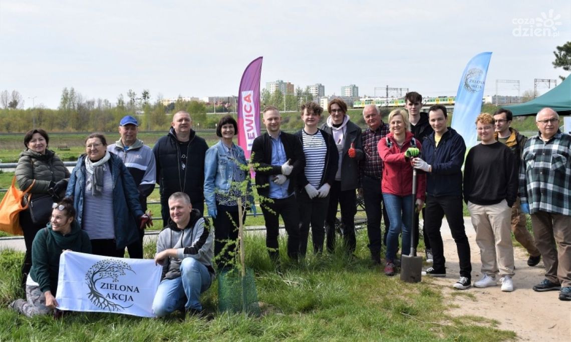 Nowa Lewica sadziła drzewa na Godowie