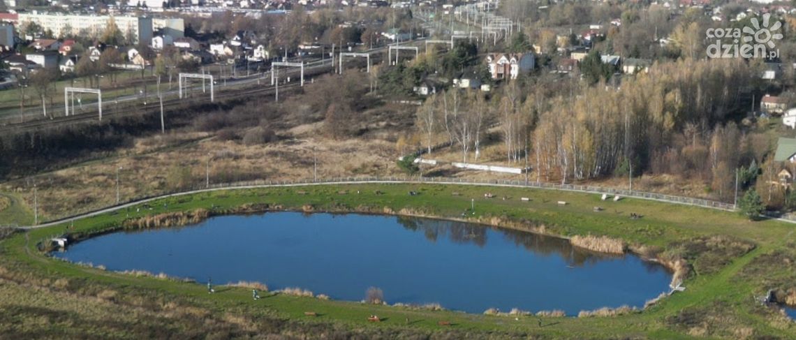 Nowe nasadzenia przy stawie na Godowie. Miasto ma już plan