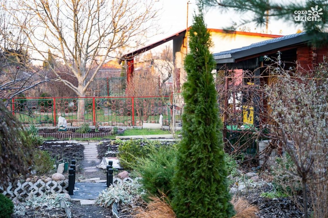 Nowe ogrodzenia, solarne lampy i Dom Działkowca. Radomskie ROD-y z dofinansowaniem