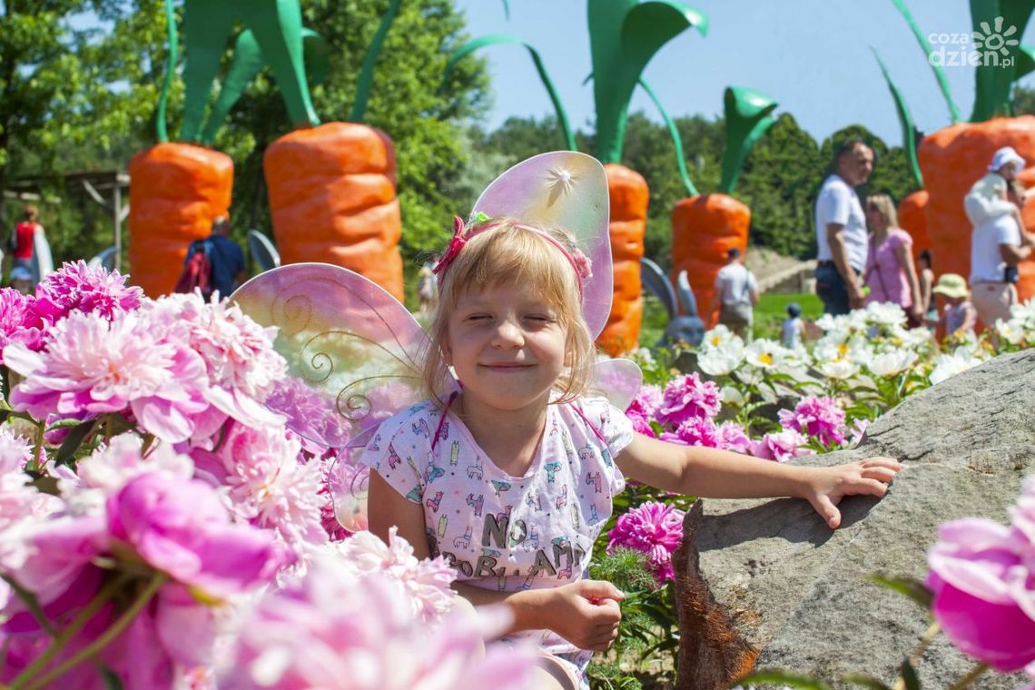 Obudź w sobie radość dziecka!