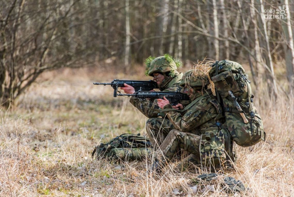 Od szeregowego do... 