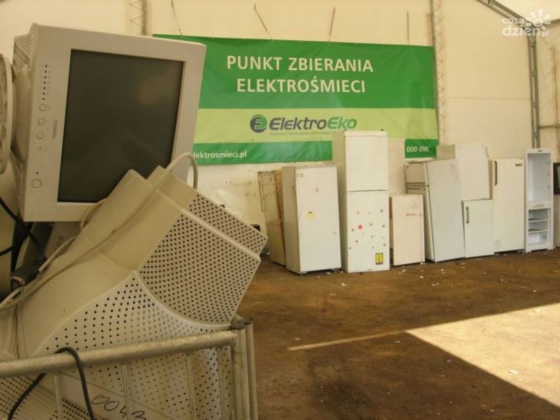 Oddaj bezpłatnie elektrośmieci w czterech punktach miasta