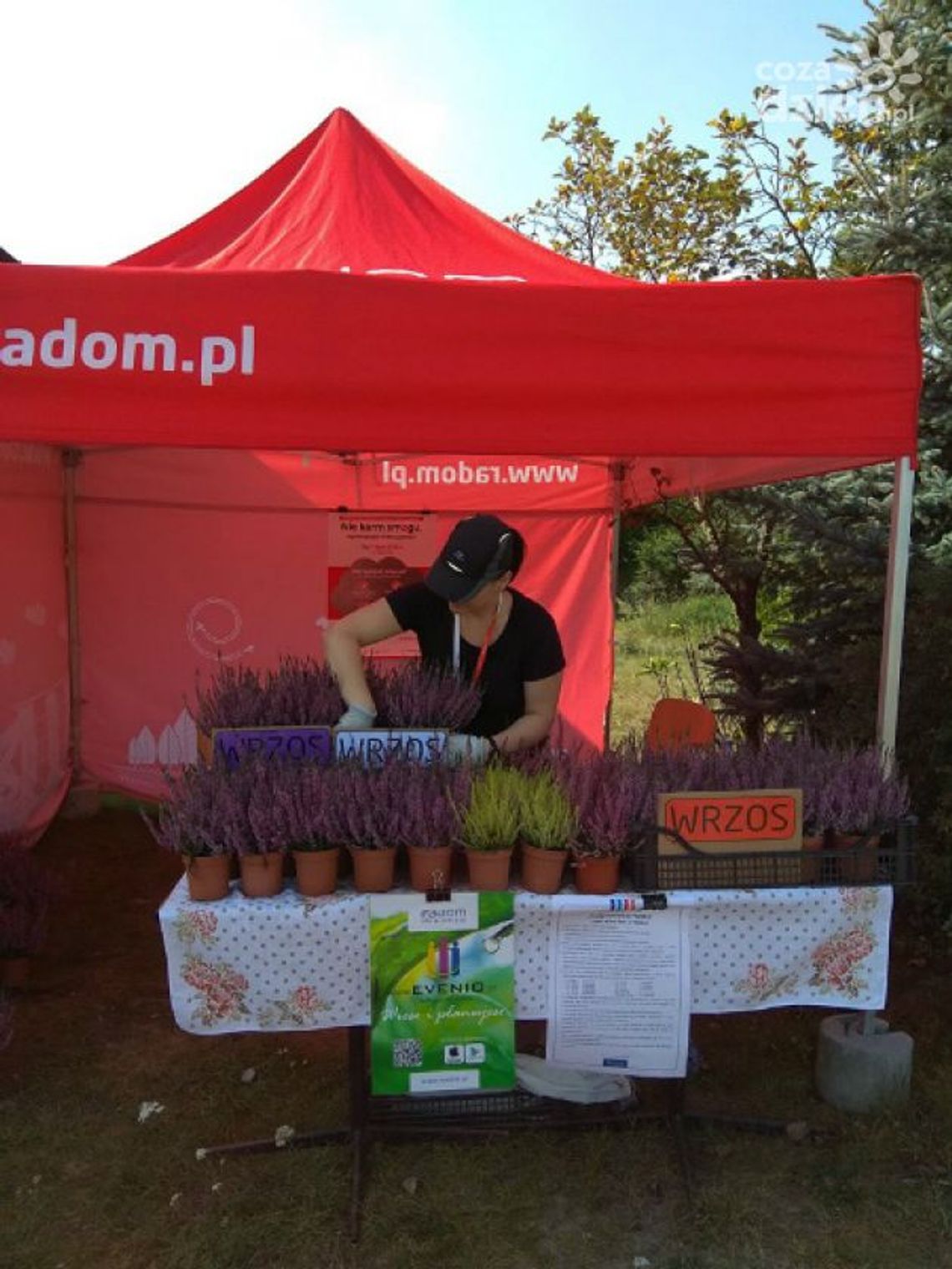 Oddaj makulaturę - otrzymaj wrzos