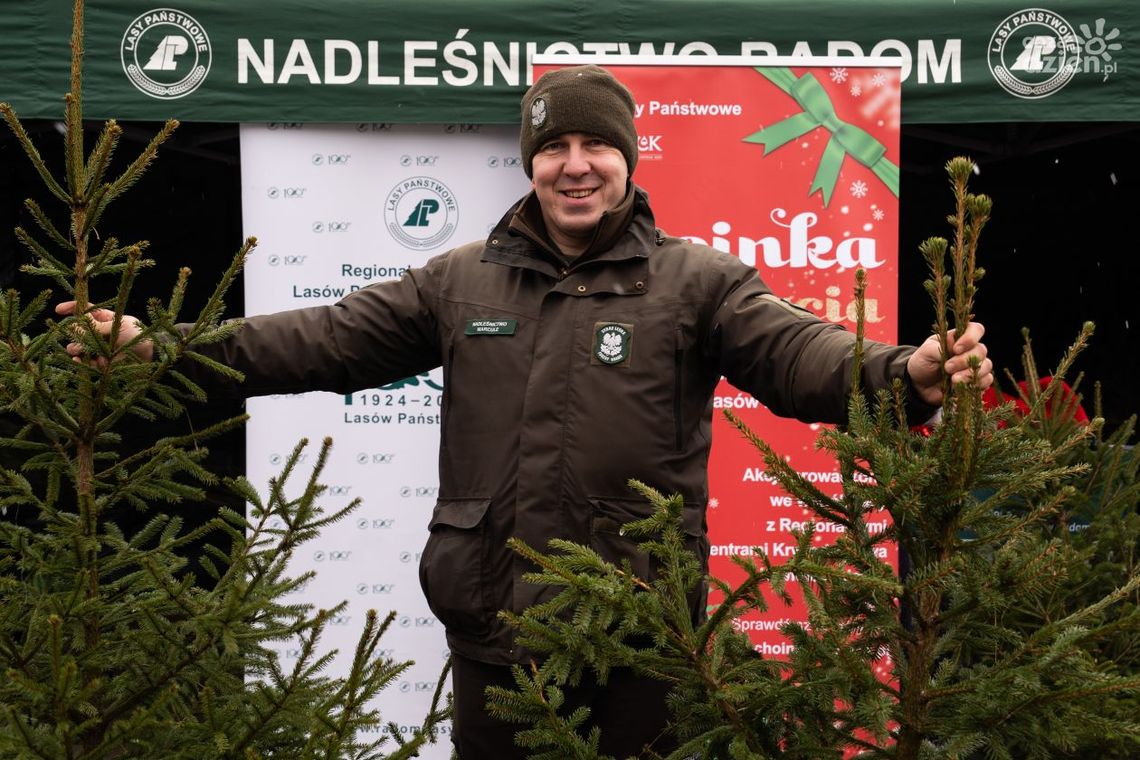 Oddali krew, dostali choinki Oddali krew, dostali choinki