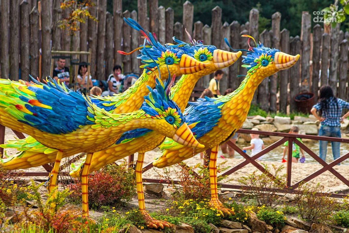 Odkryj Wodny Świat i poznaj jego mieszkańców!