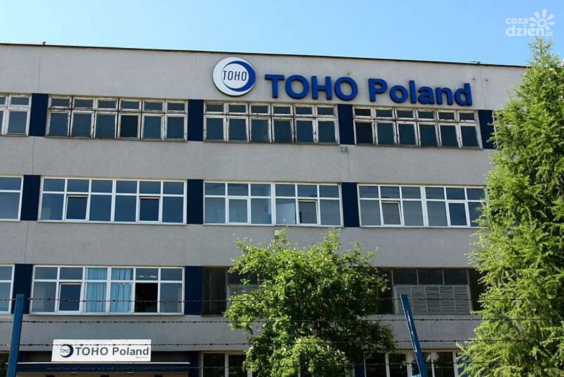 Odkrywamy strefę – z japońską duszą