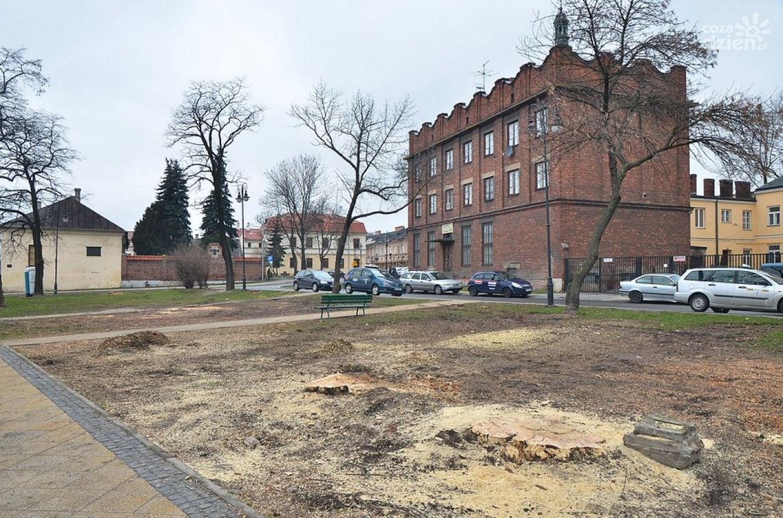Odnowa na skwerze Unii. Drzew już nie ma Odnowa na skwerze Unii. Drzew już nie ma