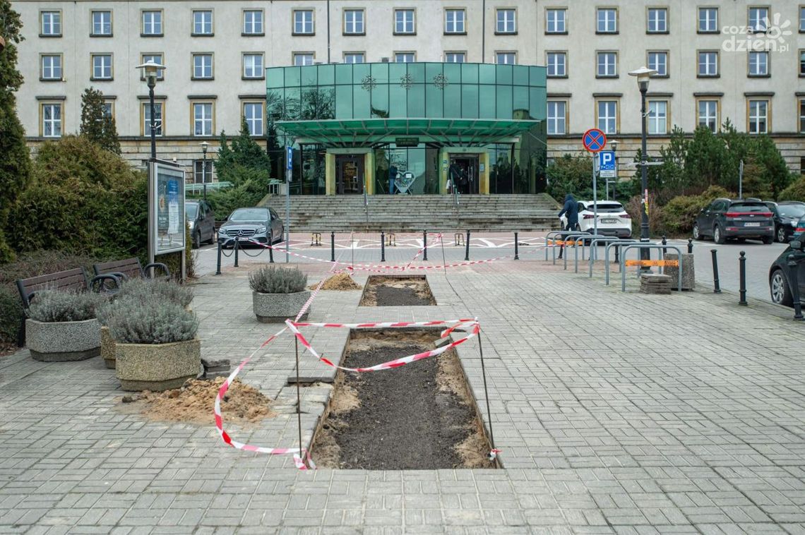 Odnowione ławki na ul. Żeromskiego. Zniknie wyspa ciepła sprzed Urzędu Miejskiego