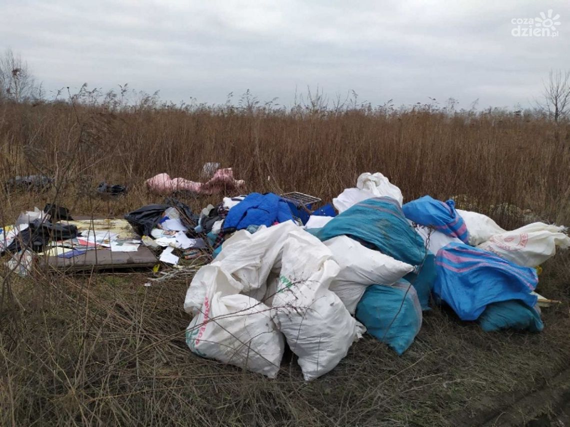 Odpady z remontu porzuciła na działce. Razem z dokumentami