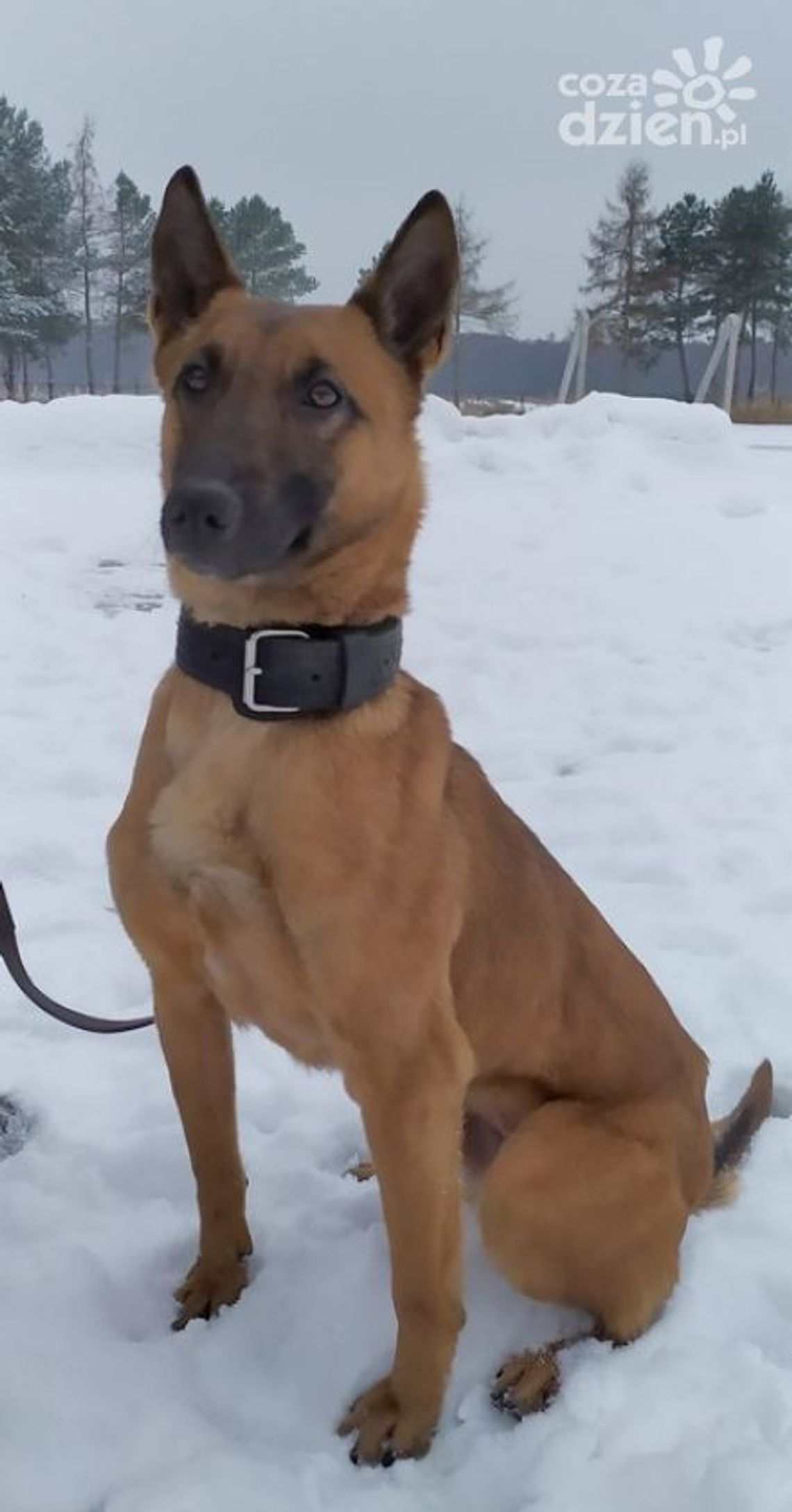 Odyseja wraca do Radomia Odyseja wraca do Radomia