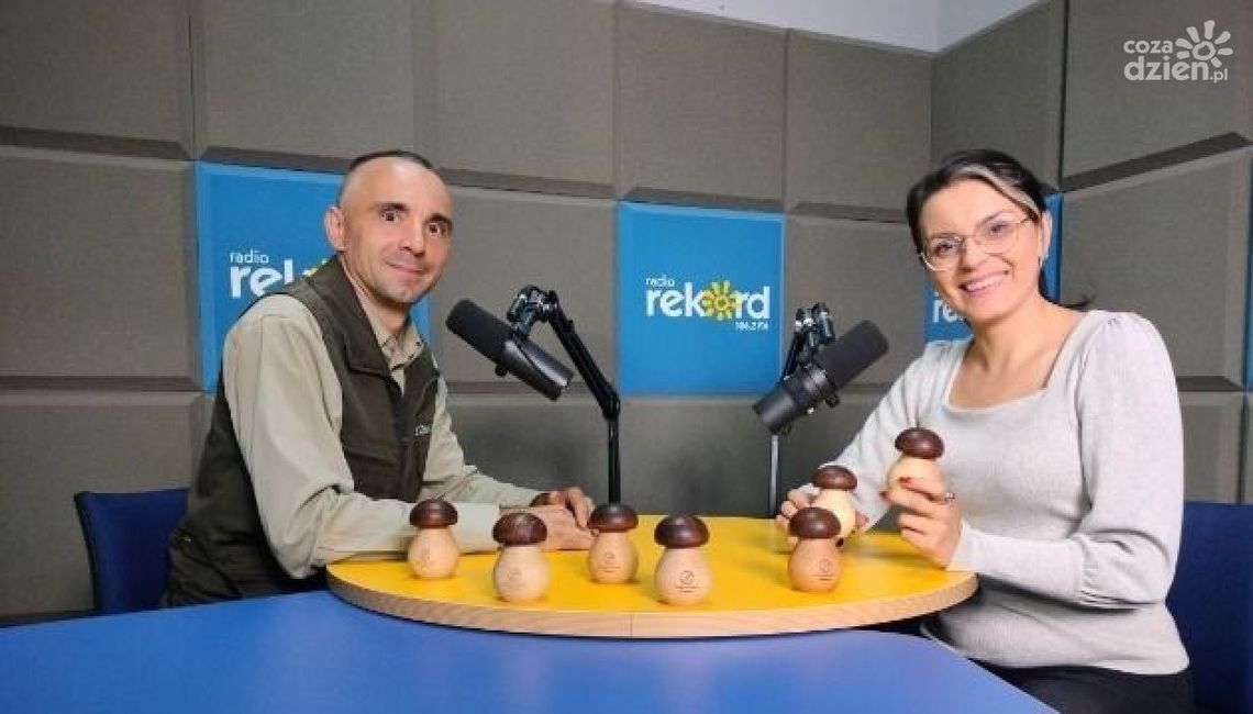 Ogar: Deszczowa aura najlepsza na grzyby Ogar: Deszczowa aura najlepsza na grzyby