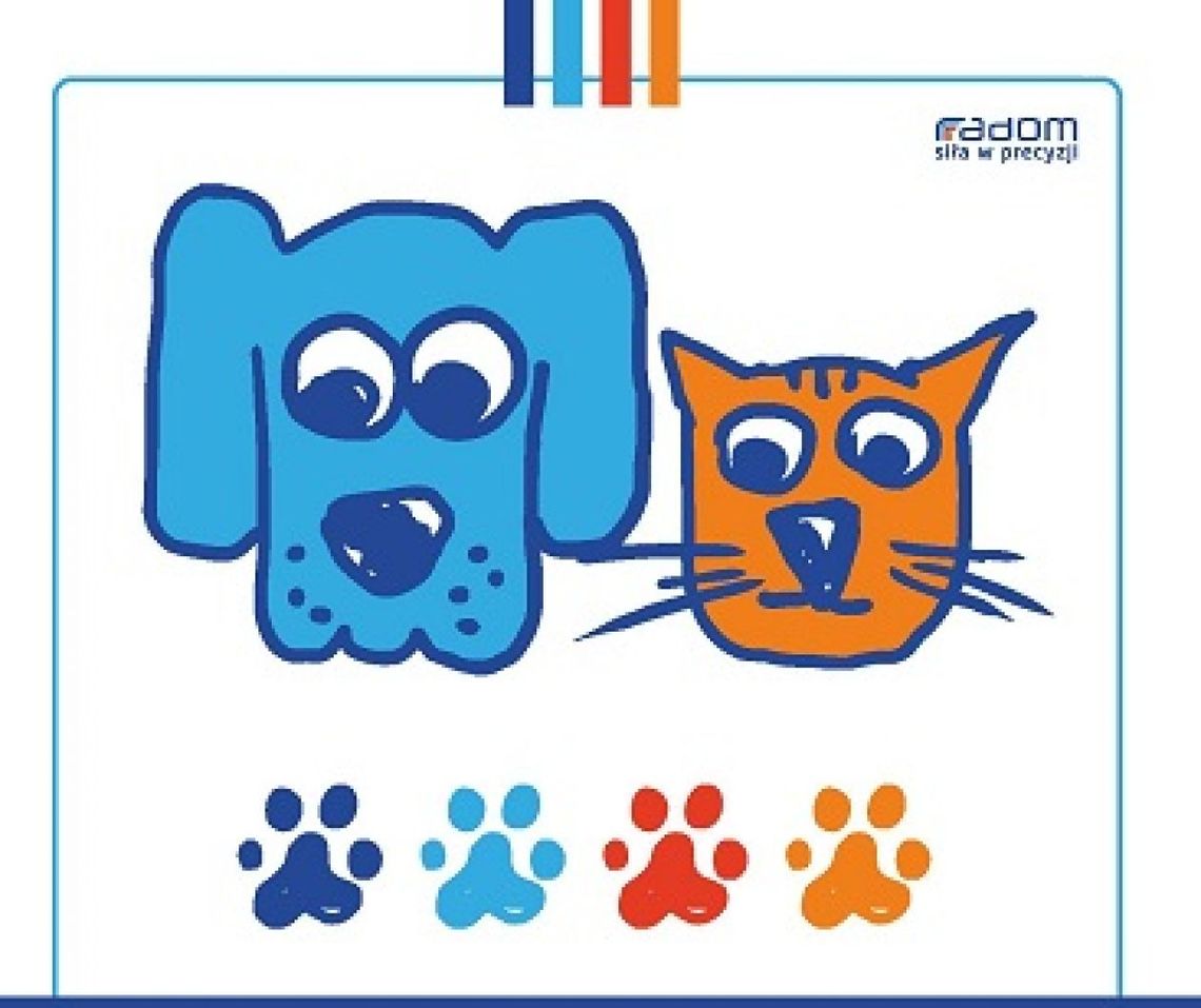 Ogólnopolska akcja "Zerwijmy łańcuchy" w Radomiu