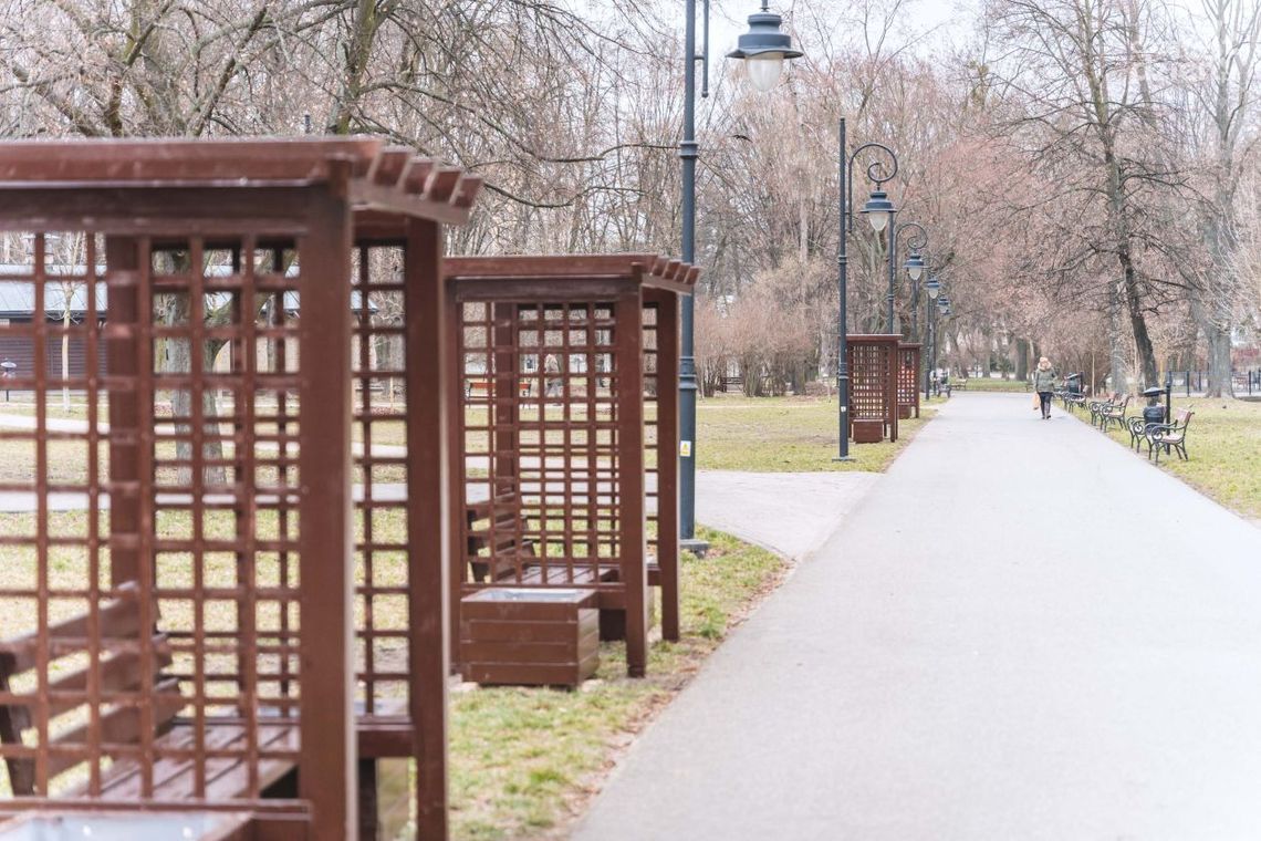 Ogród różany i aleja w Leśniczówce