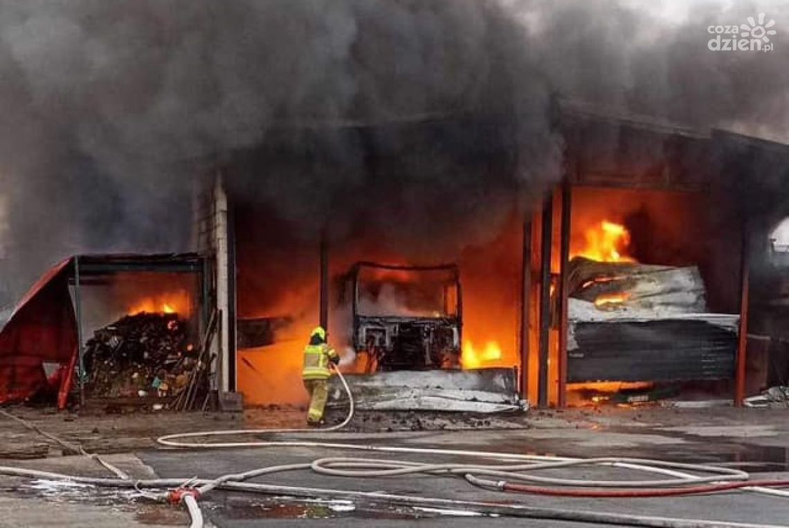 Ogromny pożar koło Kozienic Ogromny pożar koło Kozienic