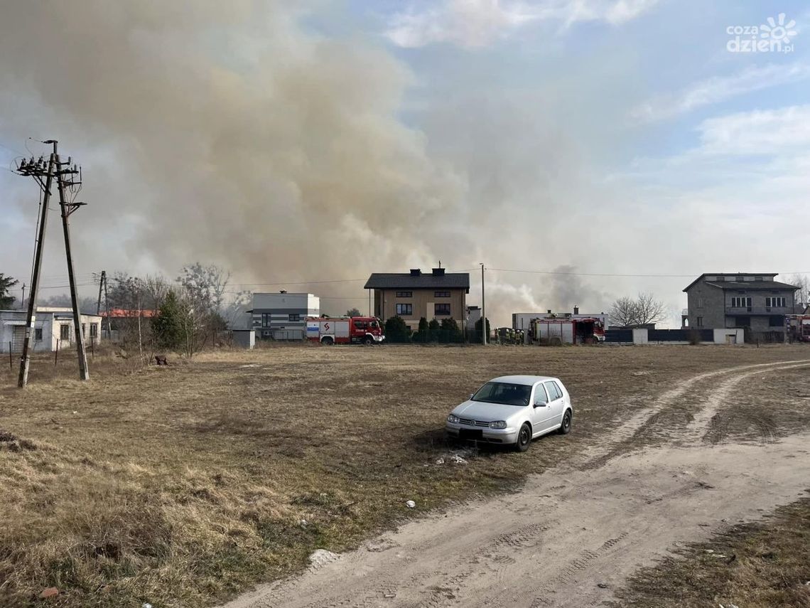 Ogromny pożar pod Radomiem. Spłonęło 90 ha traw Ogromny pożar pod Radomiem. Spłonęło 90 ha traw