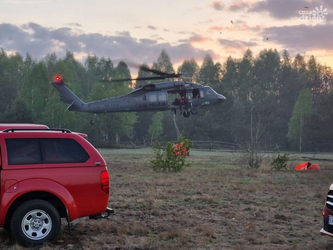 Około 100 hektarów lasu spłonęło w Prosnej