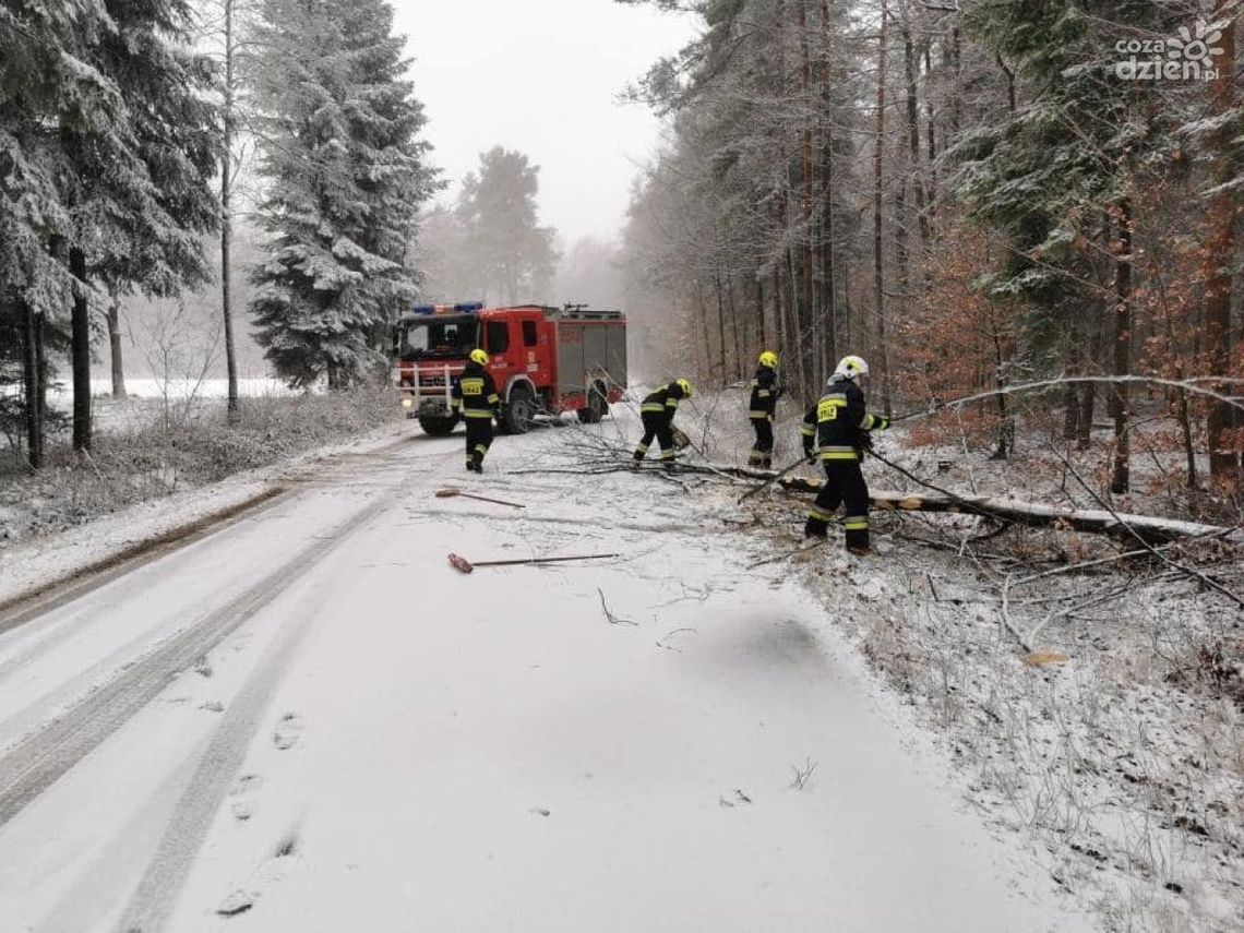 Około stu interwencji strażaków