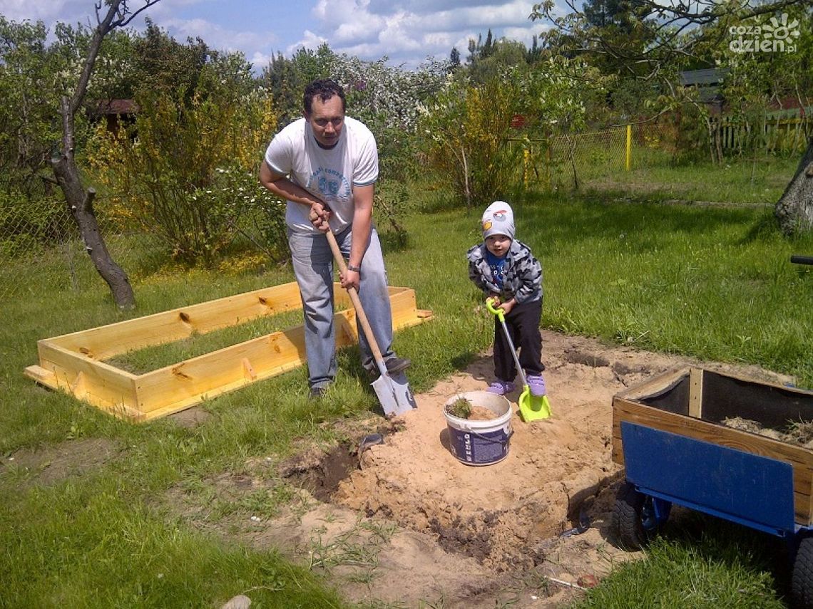 Okradziono działkę chorego Bartka z Radomia