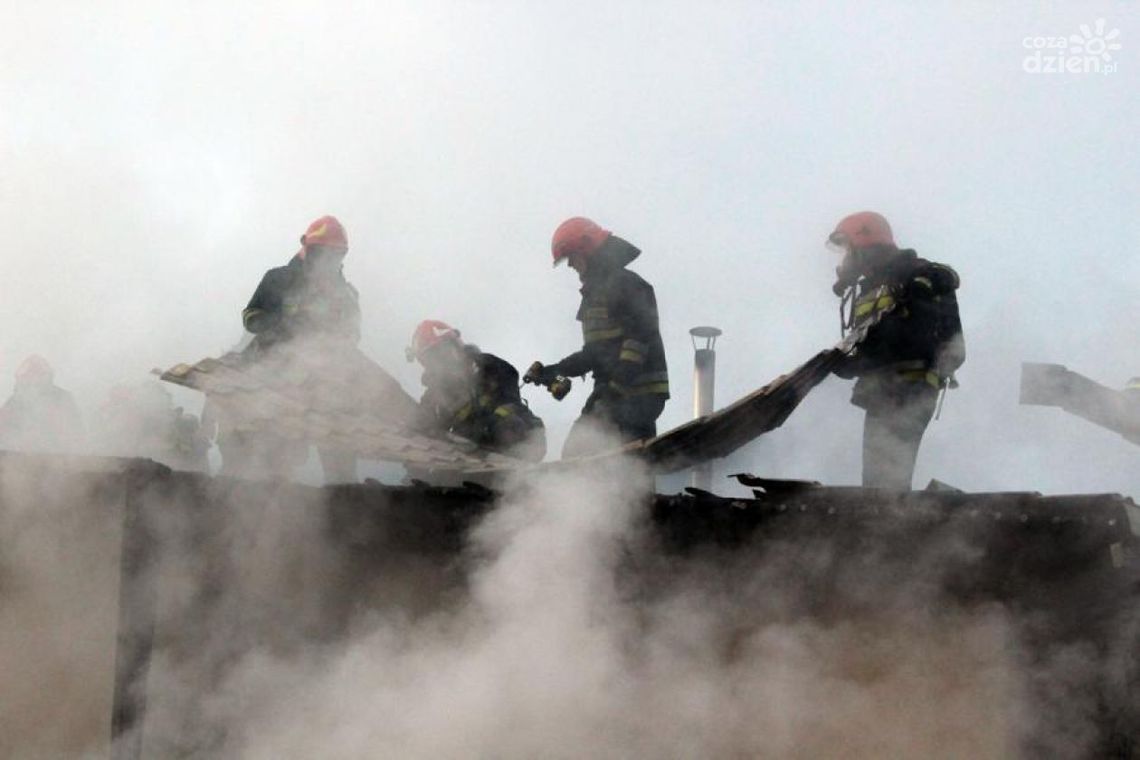 Okulickiego. Pożar pizzerii 'La Favorita"  (ZDJĘCIA, WIDEO)