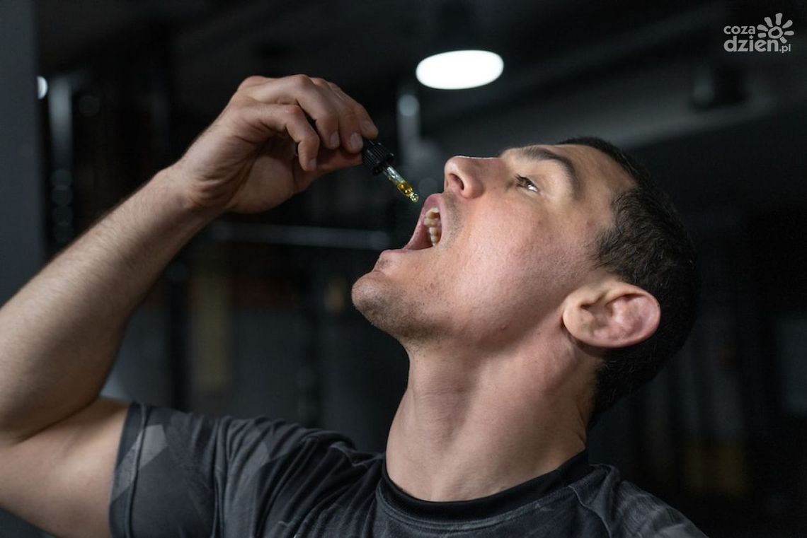 Olejek konopny CBD - wszystko o nim Olejek konopny CBD - wszystko o nim