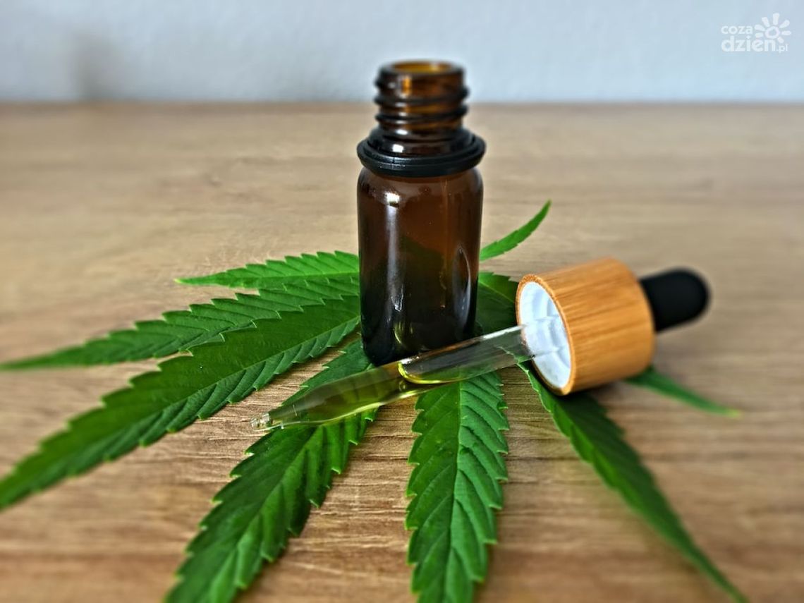 Olejki CBD - pomoc w stresie i zmęczeniu