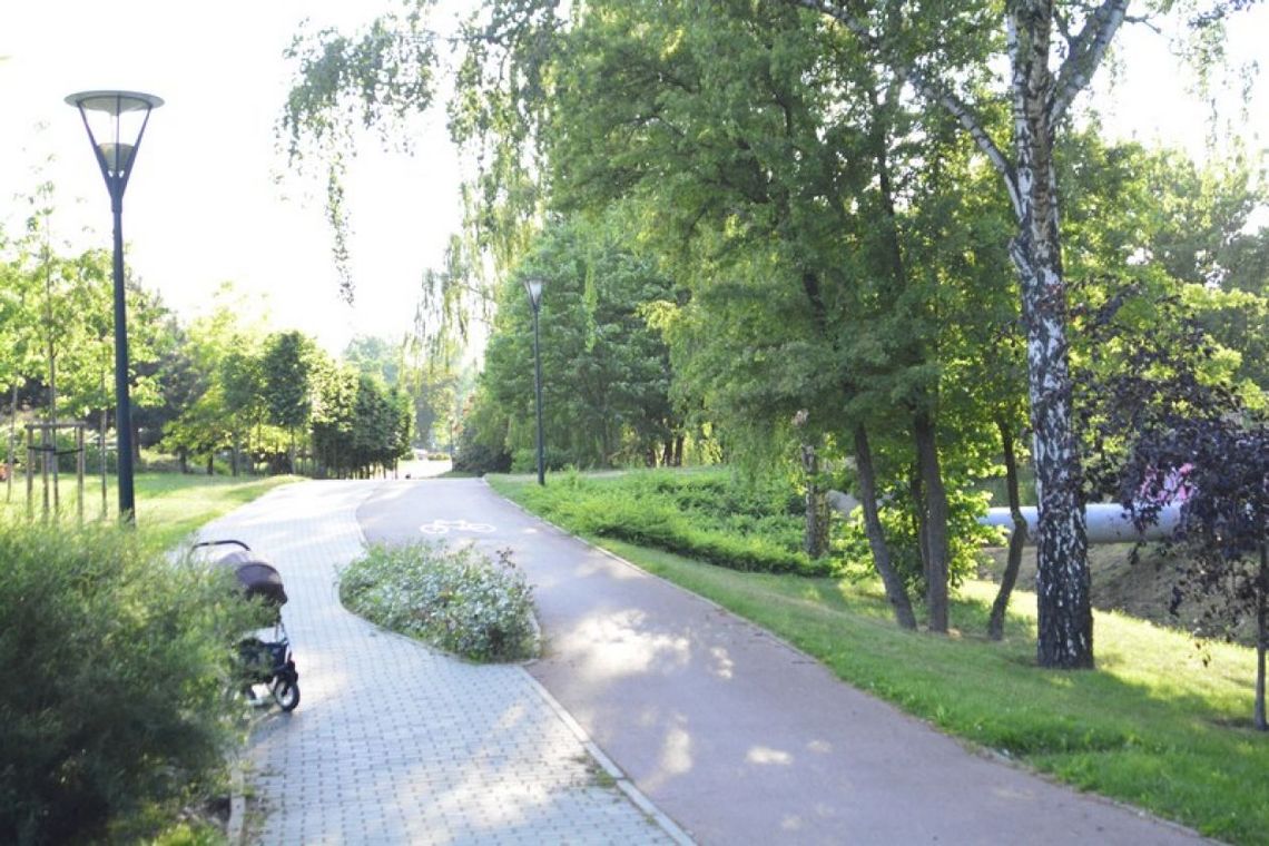 Opryski: Szkodzą czy nie, tak wybrali radomianie Opryski: Szkodzą czy nie, tak wybrali radomianie