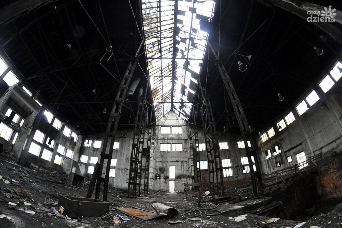 Opuszczone budynki po „Łuczniku" (zdjęcia)