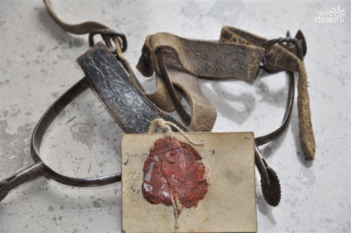 Ostrogi Dionizego Czachowskiego trafiły do Radomia