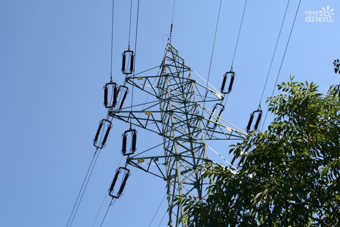 Oświadczenia końcowe za energię. PGE wydłuża godziny przyjęć (Aktualizacja)