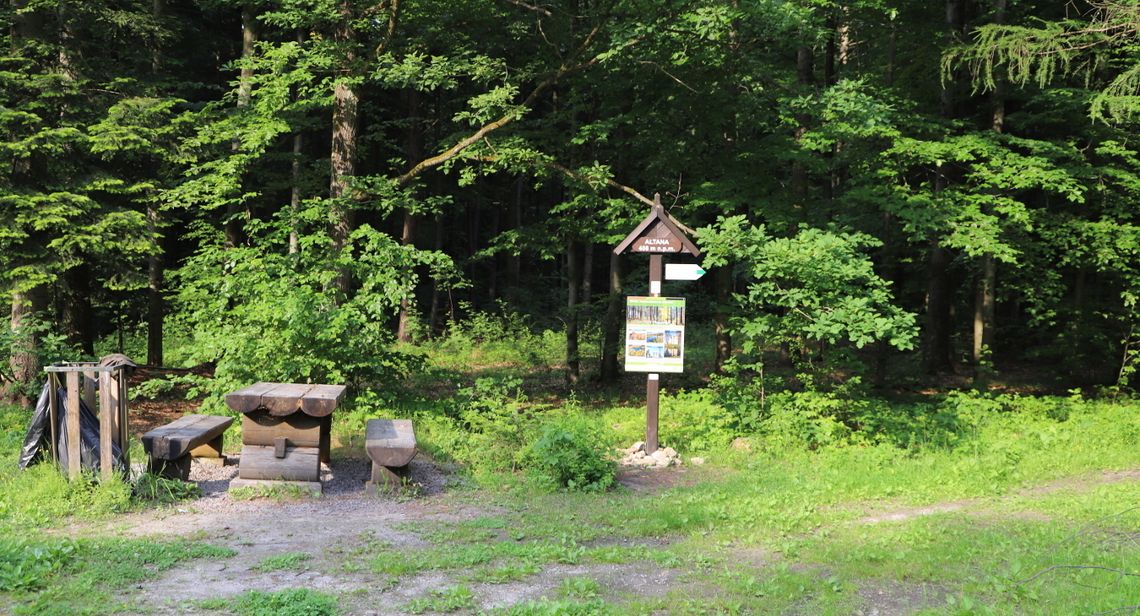 Oto najwyższa góra na Mazowszu. Z Radomia dojedziesz tam w niecałą godzinę Oto najwyższa góra na Mazowszu. Z Radomia dojedziesz tam w niecałą godzinę