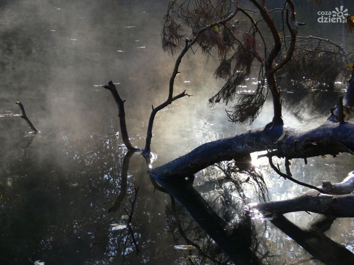 Otwarcie II wystawy fotograficznej "FOtoMy" Otwarcie II wystawy fotograficznej "FOtoMy"