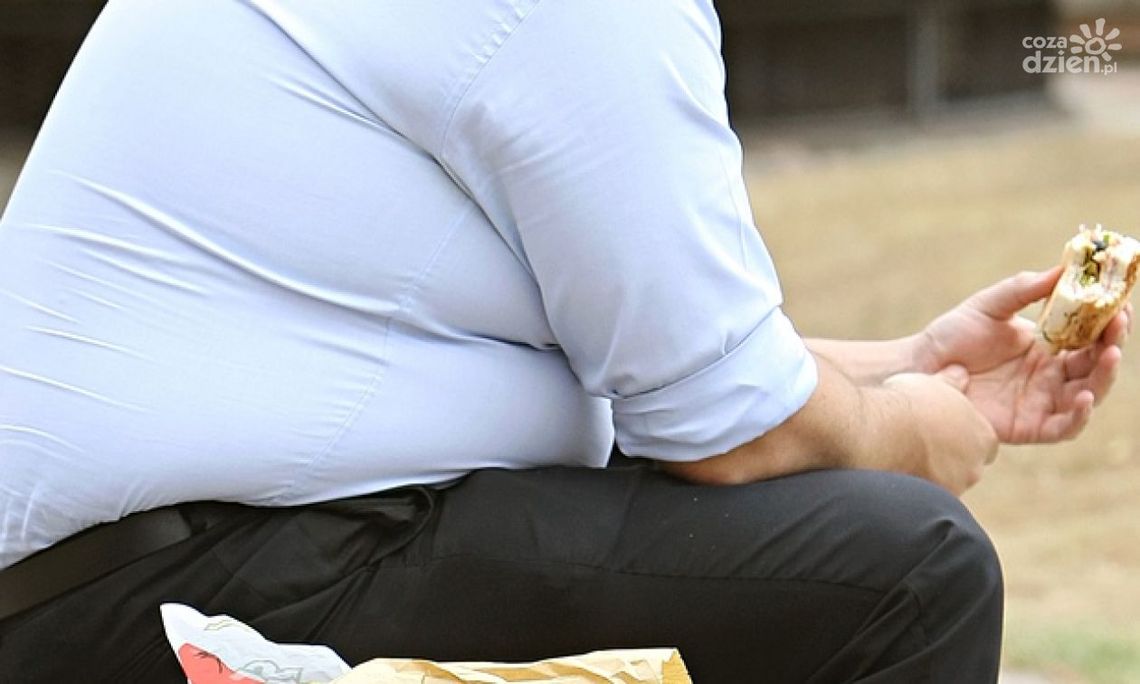 Otyłość i nadwaga – jak z nią walczyć? Otyłość i nadwaga – jak z nią walczyć?