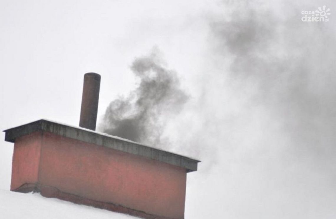 Paliła płytami meblowymi i drewnem, dostała mandat