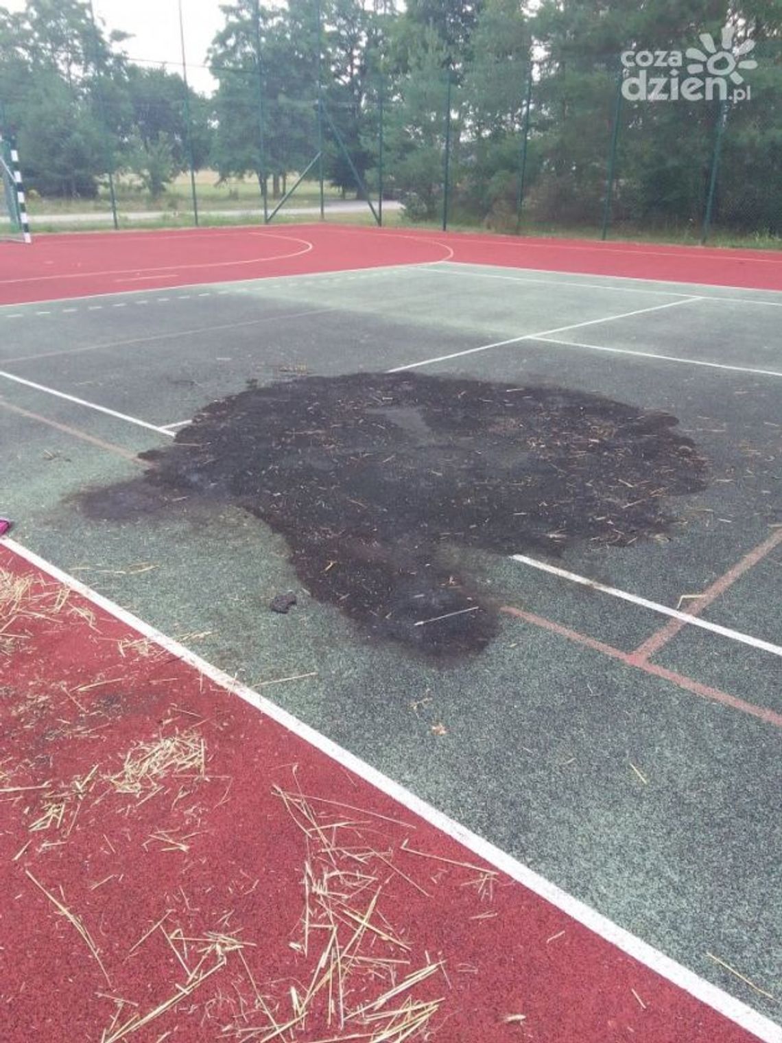 Palili ognisko na boisku