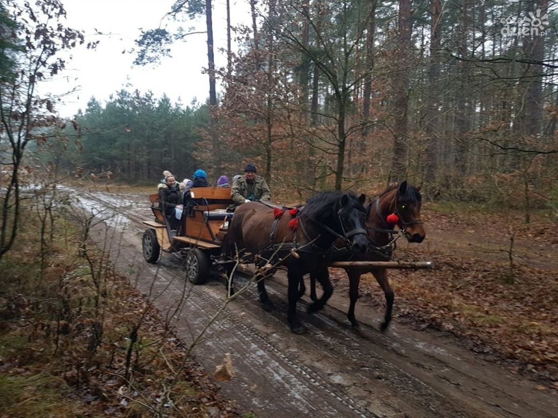 Pamela, Pola i Ramzes w zaprzęgu. Trzeba się umówić