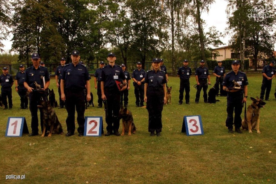 Pantera i Szach na podium