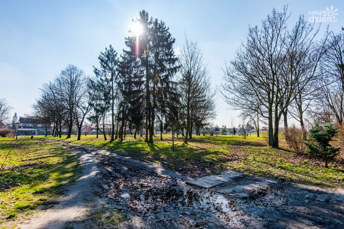 Park im. Ruzika do remontu, ale nie w tym roku Park im. Ruzika do remontu, ale nie w tym roku