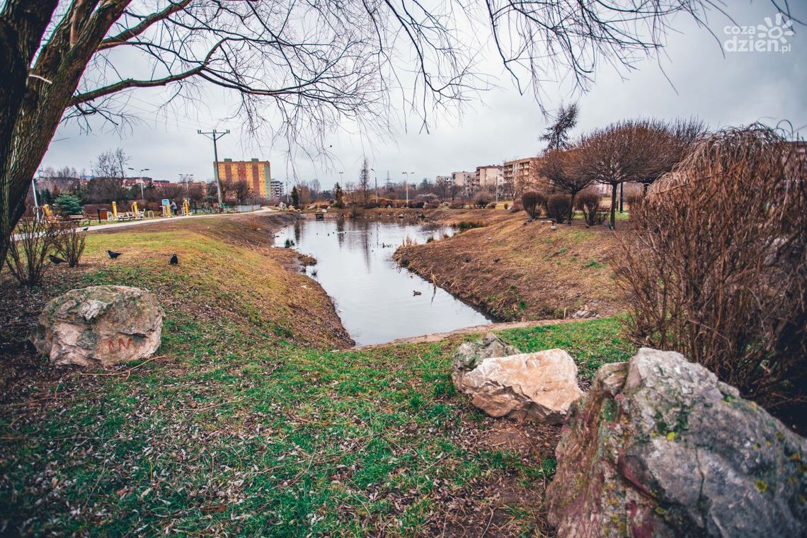 Park na Gołębiowie będzie większy