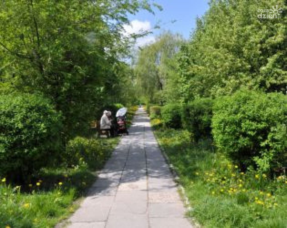 Park na Michałowie coraz bliżej Park na Michałowie coraz bliżej
