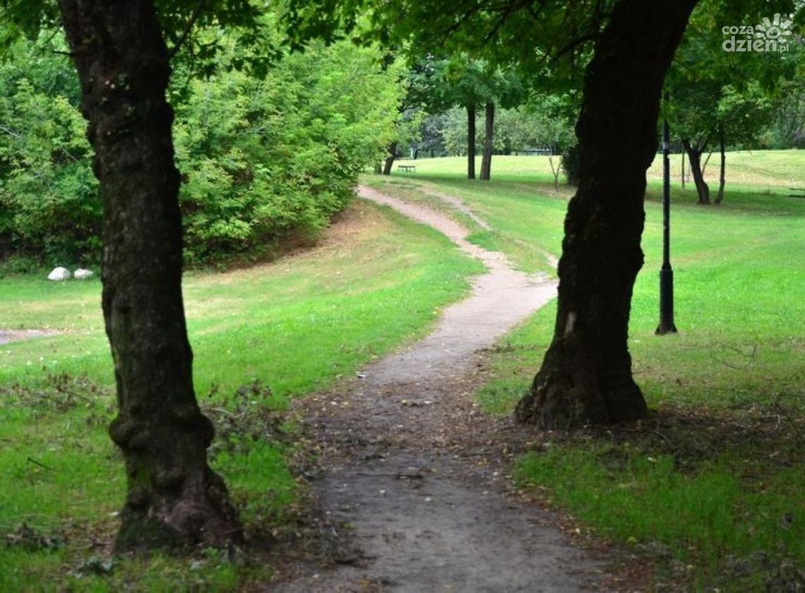 Park Obozisko czekają zmiany
