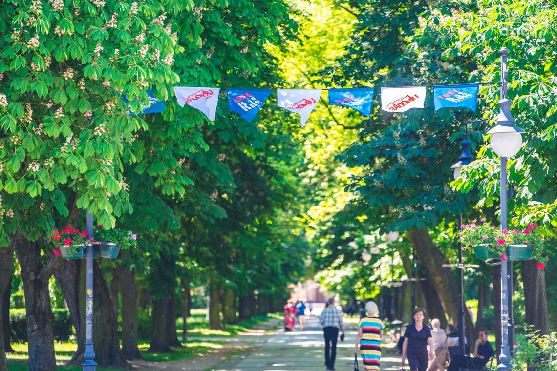 Park Off Festival w ramach Free(RA)dom Festival