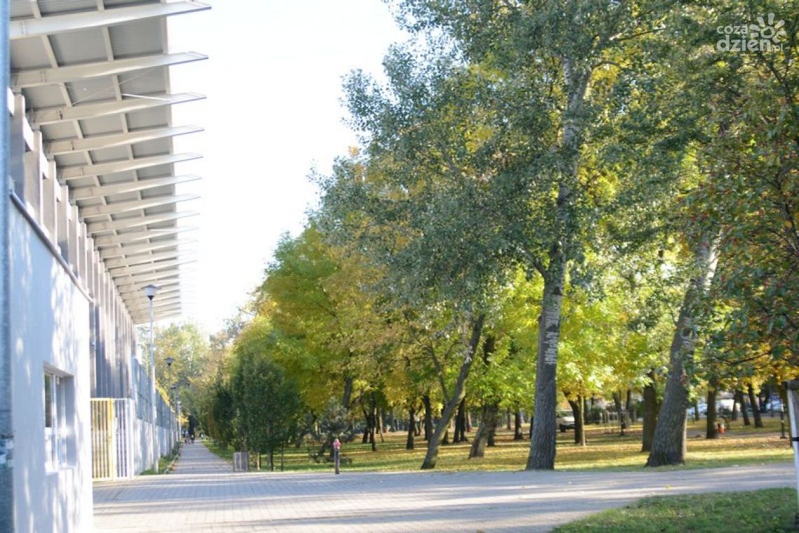 Park Planty. Powstaną nowe place zabaw