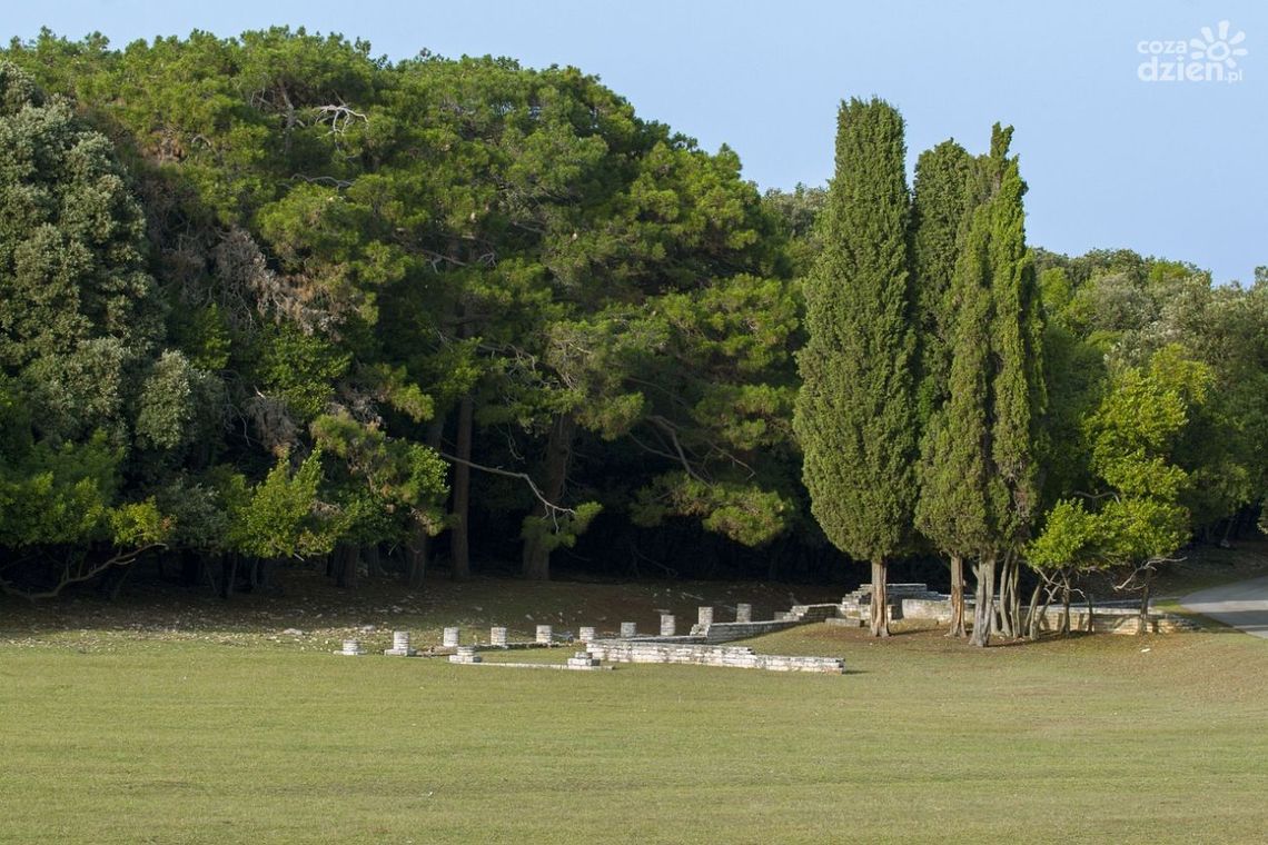 Parki narodowe Istrii – odkryj dziką przyrodę i ukryte skarby Chorwacji Parki narodowe Istrii – odkryj dziką przyrodę i ukryte skarby Chorwacji