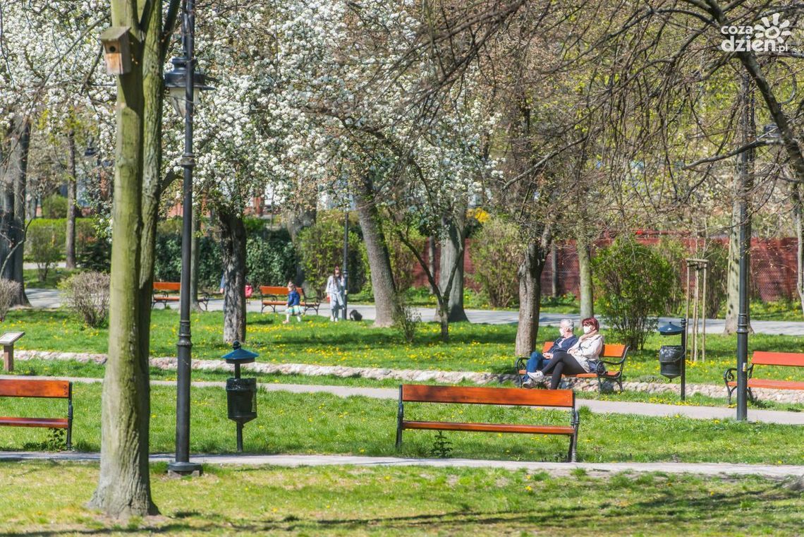 Parki znów otwarte - zdjęcia
