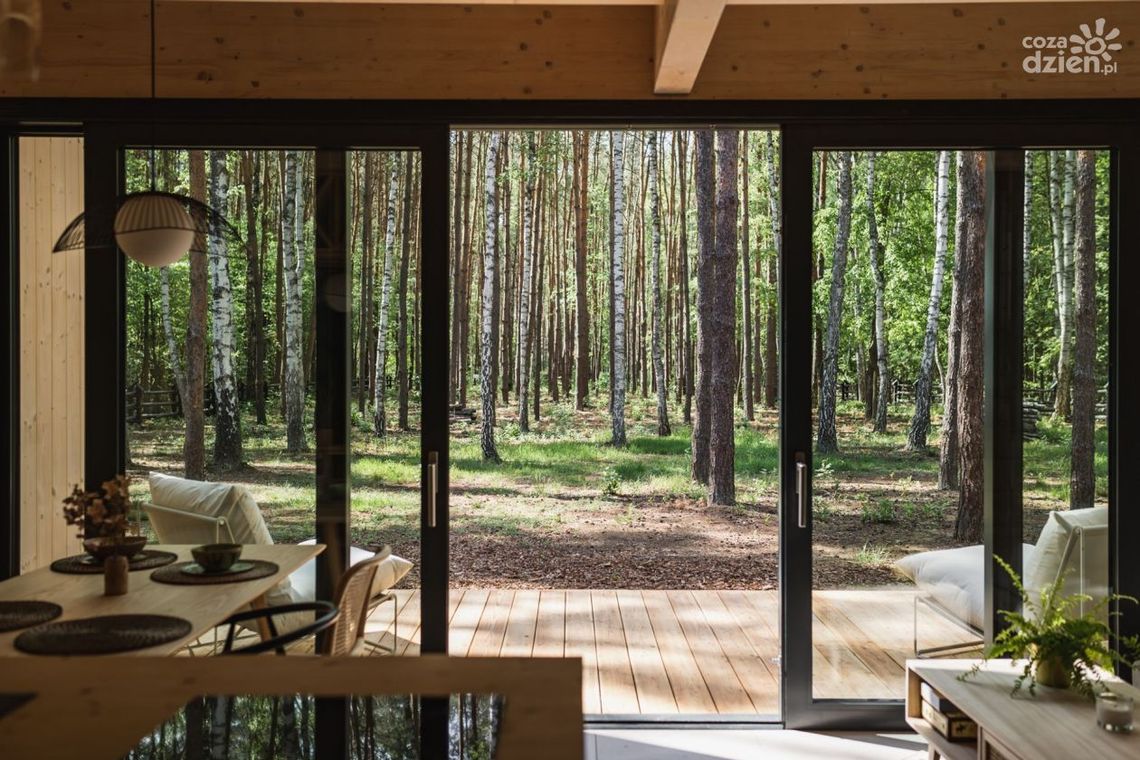 Piękno przyrody nieopodal Radomia: parki narodowe, które warto odwiedzić Piękno przyrody nieopodal Radomia: parki narodowe, które warto odwiedzić