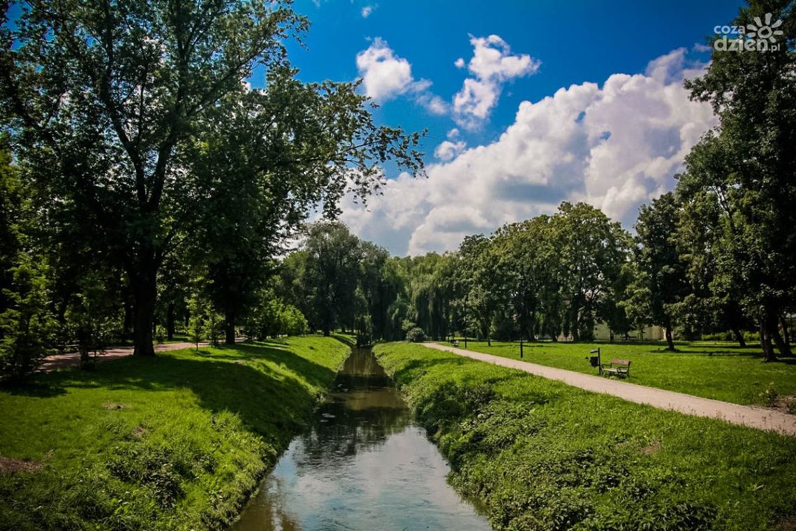 Piękny zielony Radom. Zobacz zdjęcia