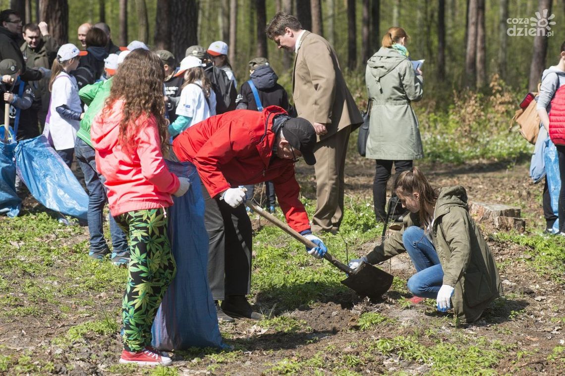 Piknik i sadzenie drzew, czyli Święto Lasu