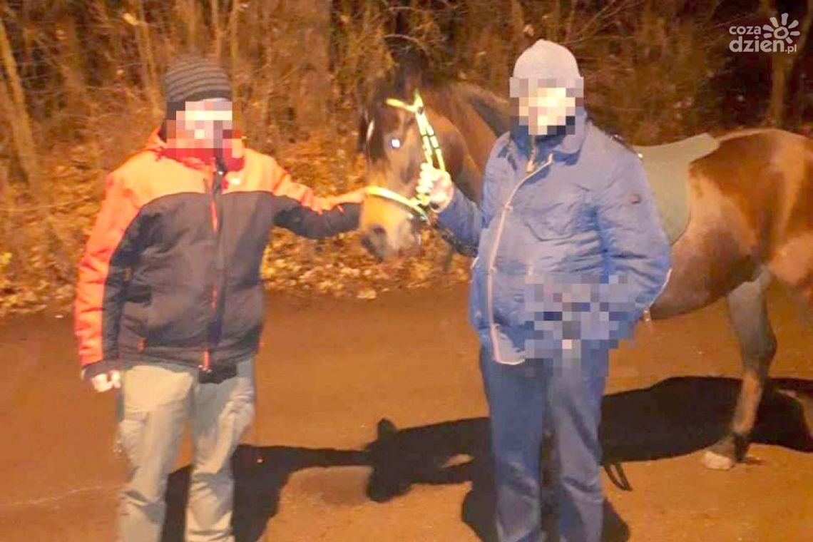 Pionki. Arab w rękach policji