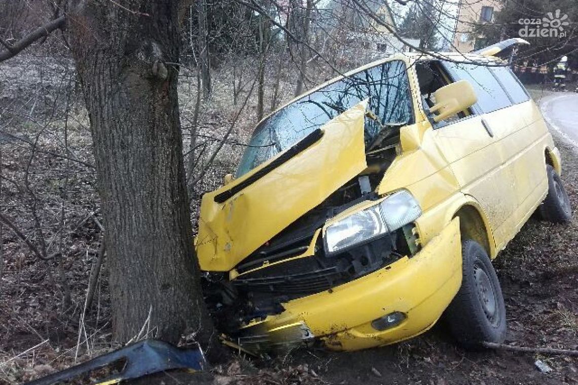 PIONKI. Kierowca wjechał do rowu PIONKI. Kierowca wjechał do rowu
